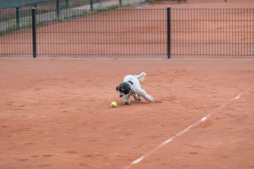 Bild 156 - BL2 THC von Horn und Hamm - Der Club an der Alster : Ergebnis: 0:9